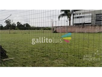 https://www.gallito.com.uy/terreno-en-venta-en-jardines-del-ferrocarril-en-melo-inmuebles-26158549