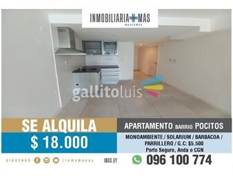 https://www.gallito.com.uy/apartamento-alquiler-monoambiente-montevideo-imasuy-gr-inmuebles-26162731