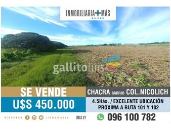 https://www.gallito.com.uy/chacra-en-venta-45has-colonia-nicolich-ruta-101-y-102-g-inmuebles-26162759