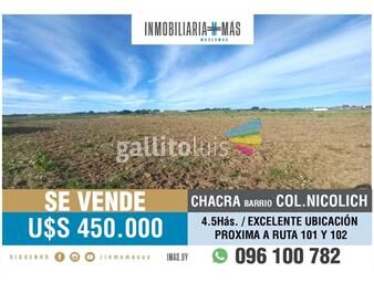 https://www.gallito.com.uy/chacra-en-venta-45has-colonia-nicolich-ruta-101-y-102-g-inmuebles-26162760