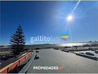 https://www.gallito.com.uy/apartamento-en-venta-frente-al-mar-punta-del-este-inmuebles-26165084