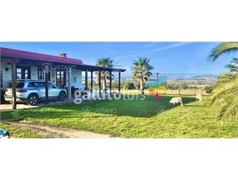 https://www.gallito.com.uy/venta-campo-14hs-en-pueblo-eden-con-opcion-a-anexar-86has-inmuebles-26085053