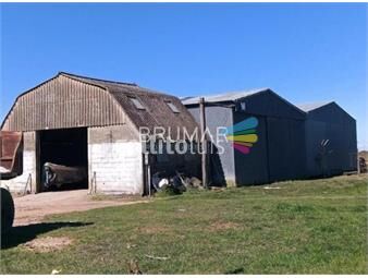 https://www.gallito.com.uy/venta-campo-uruguay-treinta-y-tres-inmuebles-26168822