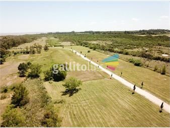 https://www.gallito.com.uy/real-de-san-carlos-village-&-golf-lote-50-inmuebles-26172653