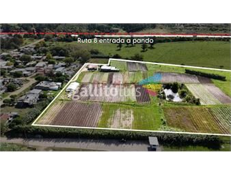 https://www.gallito.com.uy/venta-campo-chacra-terreno-4-hectareas-pando-inmuebles-25854654