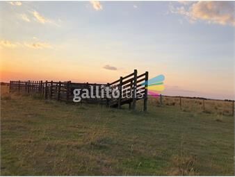 https://www.gallito.com.uy/campo-forestal-ganadero-i-tacuarembo-i-360-ha-ic-60-inmuebles-26174168