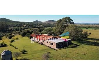 https://www.gallito.com.uy/venta-96-hectareas-de-campo-inmuebles-24354820