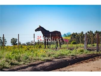 https://www.gallito.com.uy/venta-chacras-en-jose-ignacio-rural-complejo-los-zainos-inmuebles-24812232