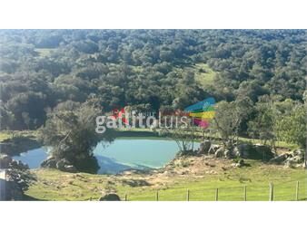 https://www.gallito.com.uy/venta-campo-de-238-hectareas-en-zona-del-cerro-catedral-inmuebles-25895288