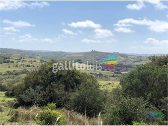 https://www.gallito.com.uy/102-has-en-las-sierras-buen-campo-criador-cerca-de-aigua-inmuebles-26177633