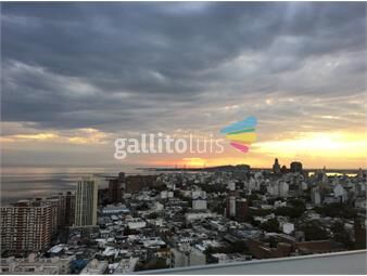 https://www.gallito.com.uy/departamento-palermo-1-dorm-estrellas-del-sur-torre-25-inmuebles-25719744