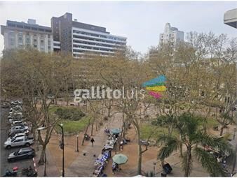 https://www.gallito.com.uy/plaza-matriz-pent-house-loft-duplex-80-m2-terraza-de-4-inmuebles-26052037