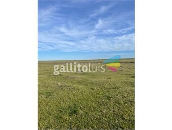 https://www.gallito.com.uy/campo-ganadero-l-tacuarembo-i-985-ha-ic-43-inmuebles-26181258