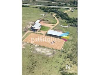 https://www.gallito.com.uy/en-venta-campo-de-5-has-en-altos-de-marelli-maldonado-inmuebles-26181445