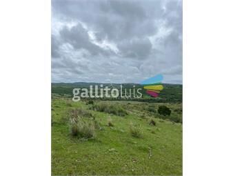 https://www.gallito.com.uy/campo-en-paso-de-la-cantera-inmuebles-22909902