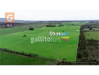 https://www.gallito.com.uy/campos-y-fracciones-ruta-9-ref-6820-inmuebles-26188176