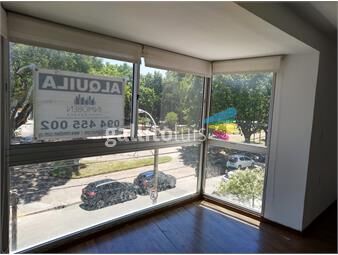 https://www.gallito.com.uy/edificio-dali-1-dormitorio-en-alquiler-inmuebles-26171926