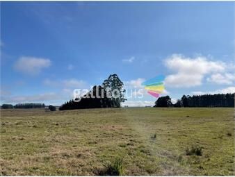 https://www.gallito.com.uy/campo-ganadero-agricola-i-tacuarembo-i-ha-2100-ic-89-inmuebles-26193534