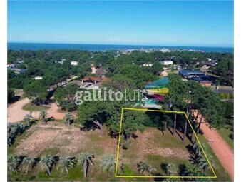 https://www.gallito.com.uy/venta-terreno-jose-ignacio-punta-del-este-inmuebles-25397630