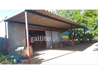 https://www.gallito.com.uy/venta-de-chacra-en-melilla-inmuebles-23613444