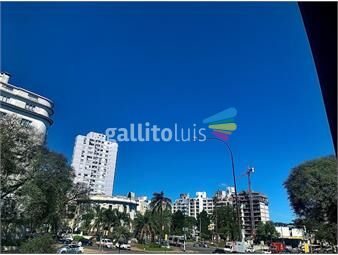 https://www.gallito.com.uy/cordon-gran-residencia-800-mts2-edif-fondo-verde-16-autos-inmuebles-26204560