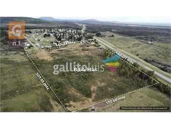 https://www.gallito.com.uy/campos-y-fracciones-en-ruta-9-cerros-azules-ref-6172-inmuebles-26208383