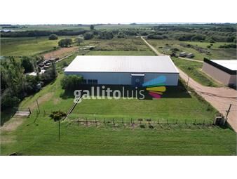 https://www.gallito.com.uy/deposito-planta-industrial-logistico-colonia-inmuebles-26208445