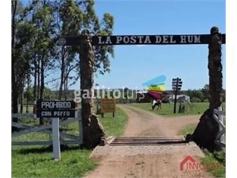 https://www.gallito.com.uy/venta-chacra-5-hectareas-en-paso-de-los-toros-camino-d-inmuebles-26212987