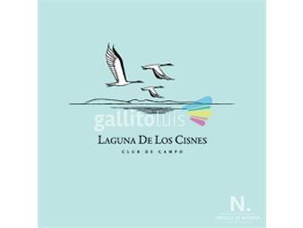 https://www.gallito.com.uy/oportunidad-imperdible-gran-terreno-en-laguna-de-los-cisne-inmuebles-25256774