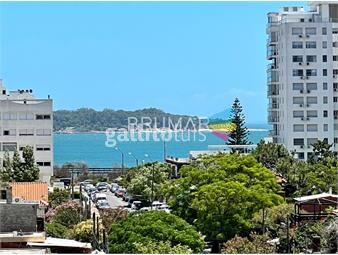 https://www.gallito.com.uy/apartamento-venta-de-dos-dormitorios-punta-del-este-inmuebles-26228557