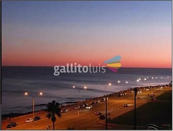 https://www.gallito.com.uy/alquiler-apartamento-semi-amueblado-rambla-ciudad-vieja-u-inmuebles-26234129