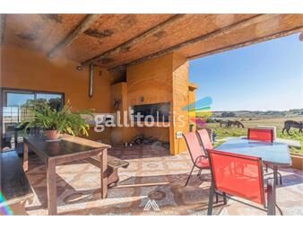 https://www.gallito.com.uy/campo-en-venta-39-hectareas-migues-canelones-inmuebles-25776515