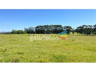 https://www.gallito.com.uy/campo-10-has-a-10-km-de-san-carlos-inmuebles-26238054