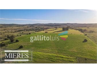 https://www.gallito.com.uy/campo-de-270ha-en-pueblo-eden-maldonado-inmuebles-26085735