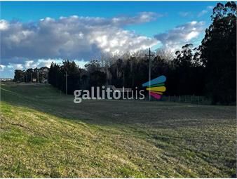 https://www.gallito.com.uy/venta-terreno-progreso-20000m2-ruta-5-entre-r-48-y-entrada-inmuebles-26241929