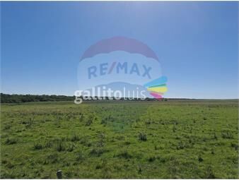 https://www.gallito.com.uy/venta-campo-rio-negro-ganadero-agricola-350-has-inmuebles-25522932