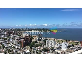 https://www.gallito.com.uy/estrellas-del-sur-torre-25-venta-con-renta-inmuebles-25127981