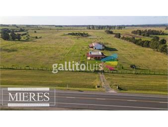 https://www.gallito.com.uy/campo-287-hectareas-ganadero-excelente-ubicacion-lavalle-inmuebles-26144433