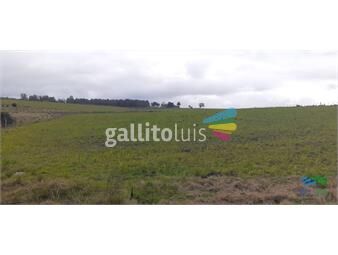 https://www.gallito.com.uy/18-has-r9-km-80-inmuebles-23442358