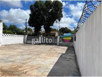 https://www.gallito.com.uy/terreno-con-galpon-carrasco-norte-inmuebles-26246562