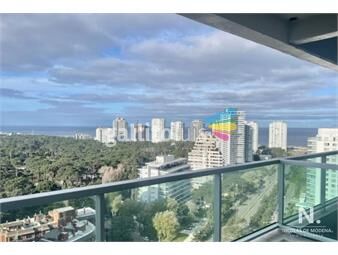 https://www.gallito.com.uy/apartamento-de-1-dormitorio-en-edifico-gala-vista-punta-d-inmuebles-26254346