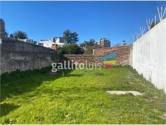 https://www.gallito.com.uy/prox-bvar-artigas-y-san-martin-buen-terreno-en-punto-de-inmuebles-25917602