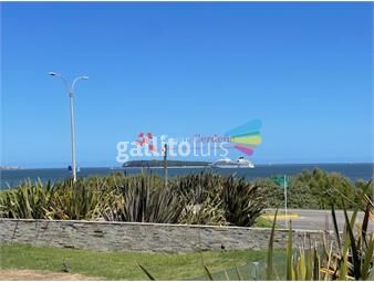 https://www.gallito.com.uy/venta-punta-del-este-mansa-primera-linea-inmuebles-25166871