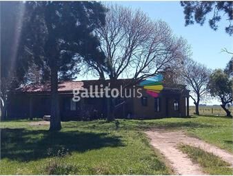 https://www.gallito.com.uy/campo-en-venta-treinta-y-tres-inmuebles-26265763