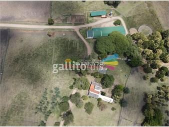 https://www.gallito.com.uy/haras-en-venta-progreso-15-boxes-muro-perimetral-casaqu-inmuebles-23435067