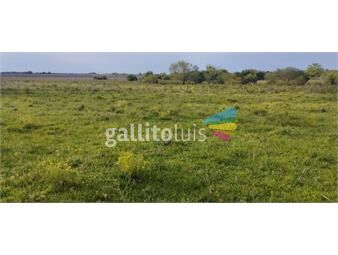 https://www.gallito.com.uy/venta-de-campo-agricola-ganadero-canelonesmontes-inmuebles-26272590