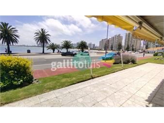 https://www.gallito.com.uy/venta-apto-puerto-punta-3d-y-dep-de-serv-frente-al-mar-inmuebles-26273176