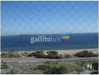 https://www.gallito.com.uy/le-jardin-punta-del-este-inmuebles-25033389