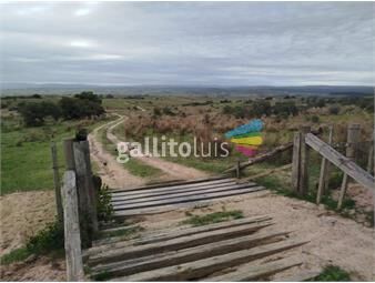 https://www.gallito.com.uy/gran-oportunidad-116-ha-en-garzonmaldondado-a-8-km-del-inmuebles-26287990