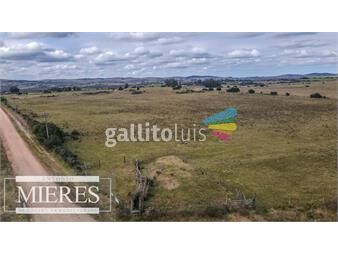 https://www.gallito.com.uy/chacras-en-pueblo-eden-de-3-5-y-4-ha-inmuebles-25868384